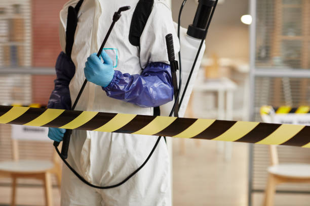 Professional Sewage Cleanup technician working in Greenfield, IN